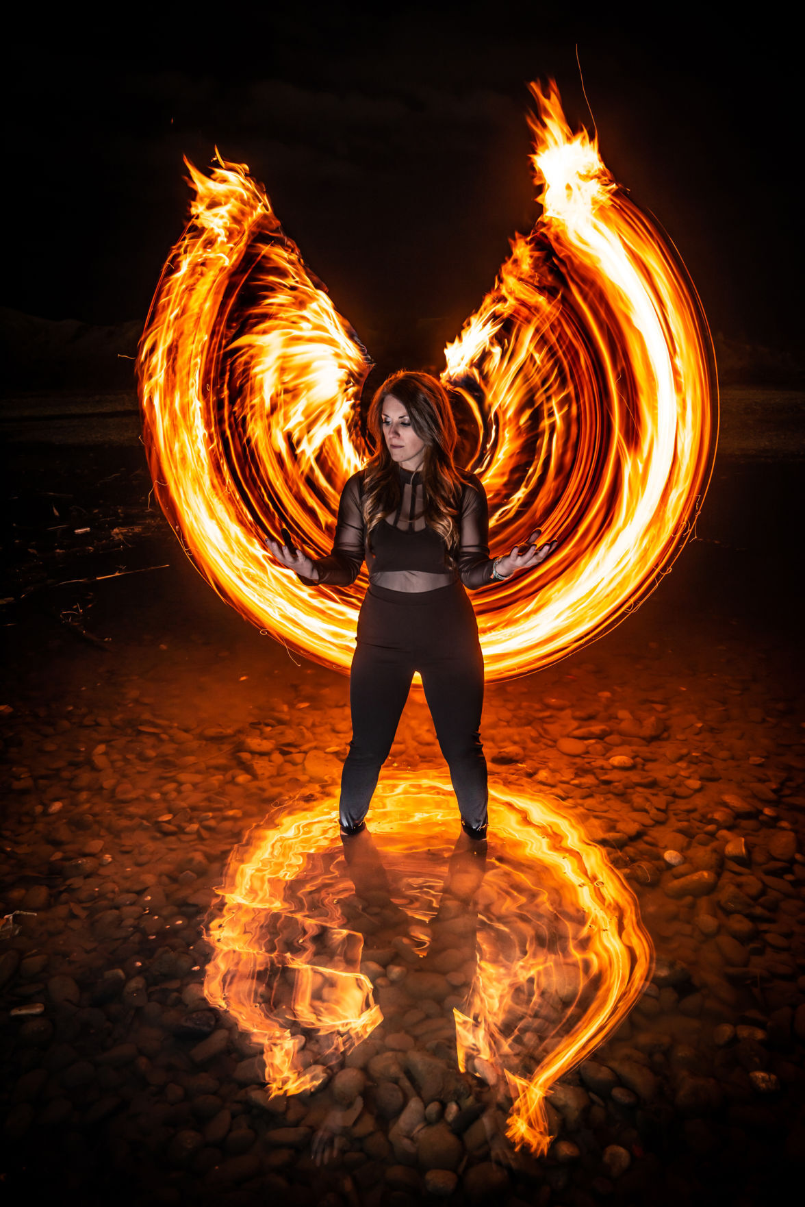 'Phoenix' by Daniel Kessel